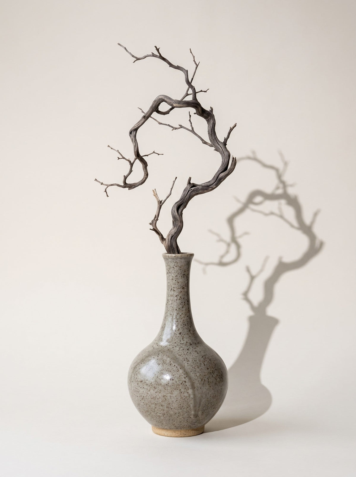 Ash — with a branch