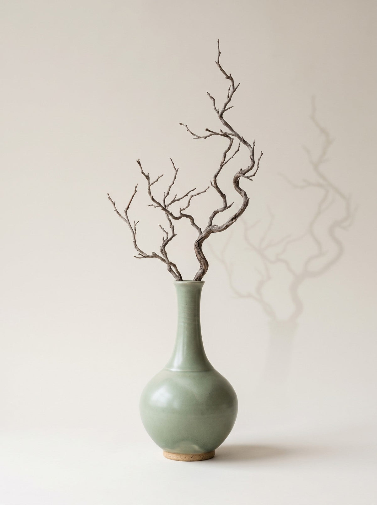 Sage — with a branch